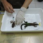 Aproveitamento cientifico